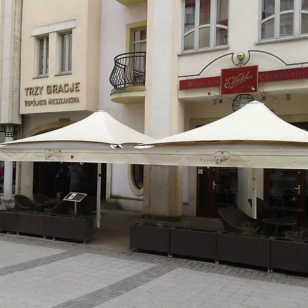 Apartament Sopocka Gracja 아파트 *